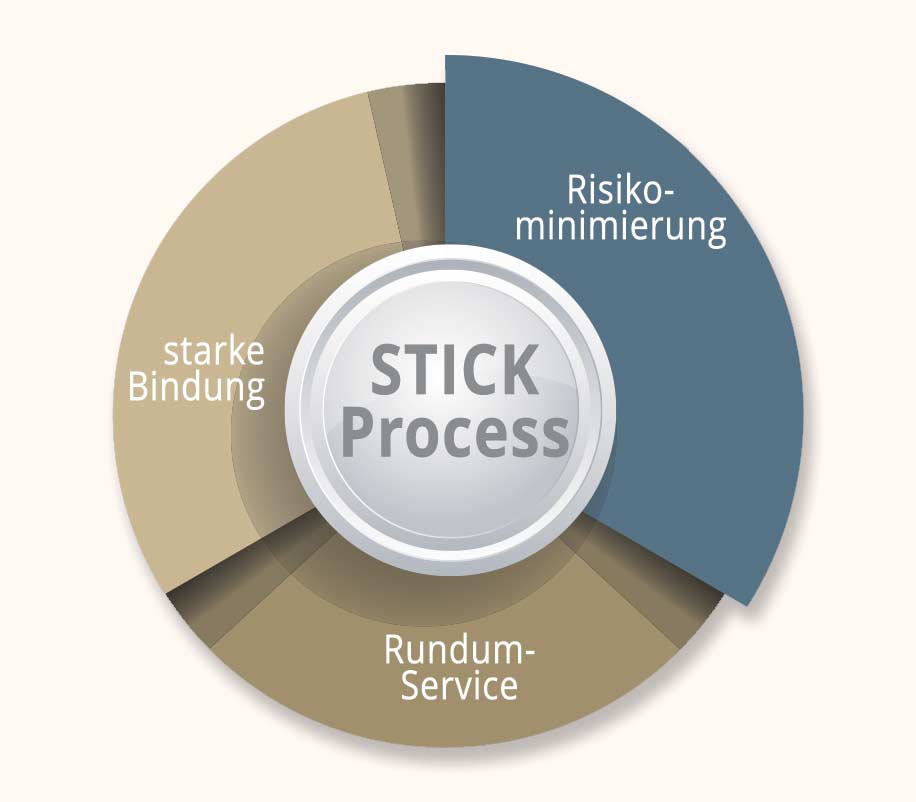 vr stick process
